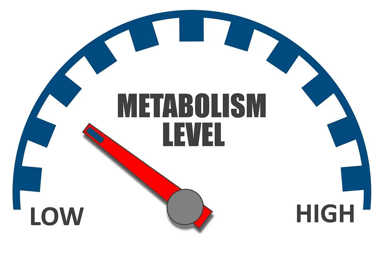 Slow metabolism gauge